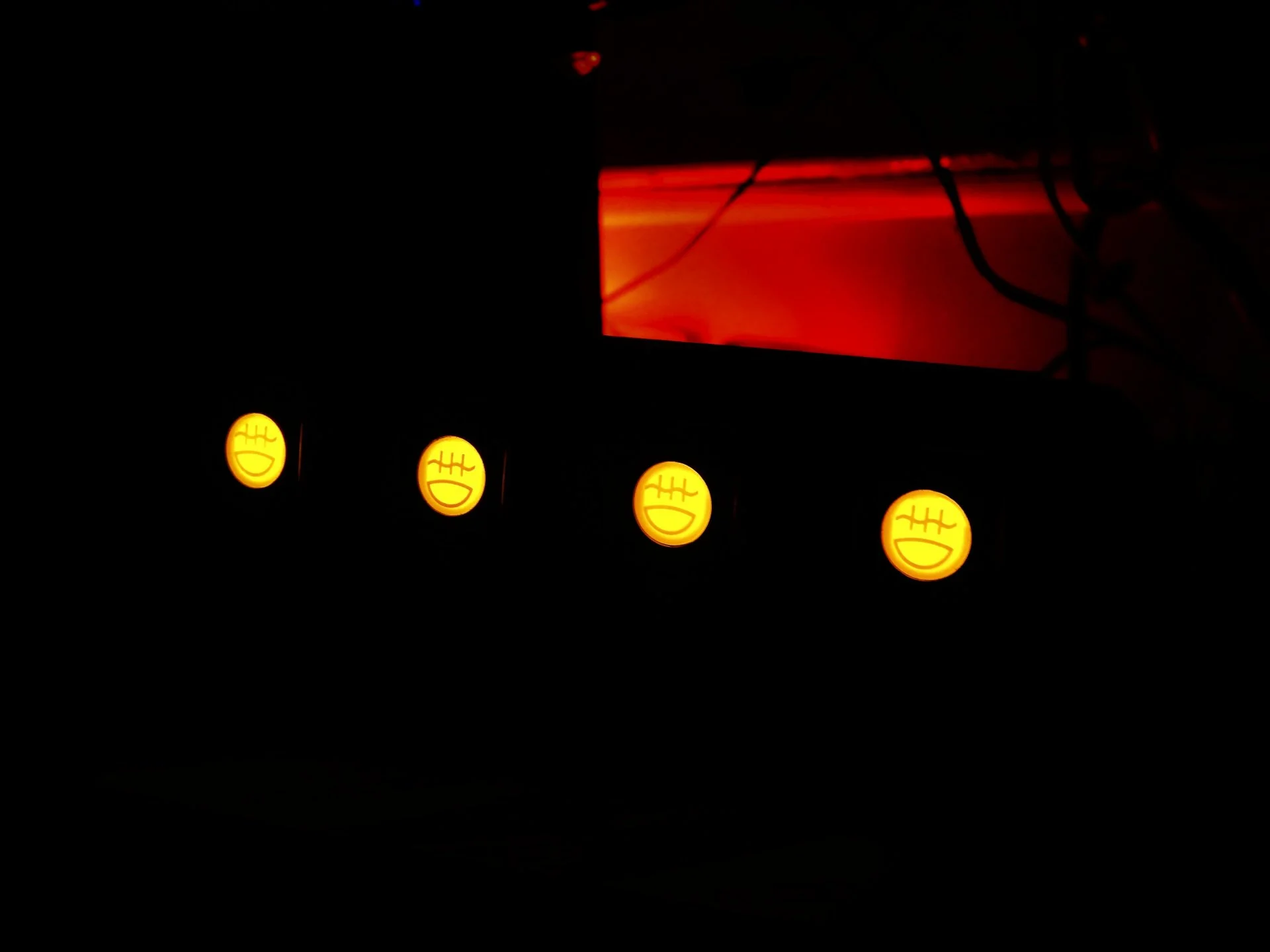 DSCN6541.webp