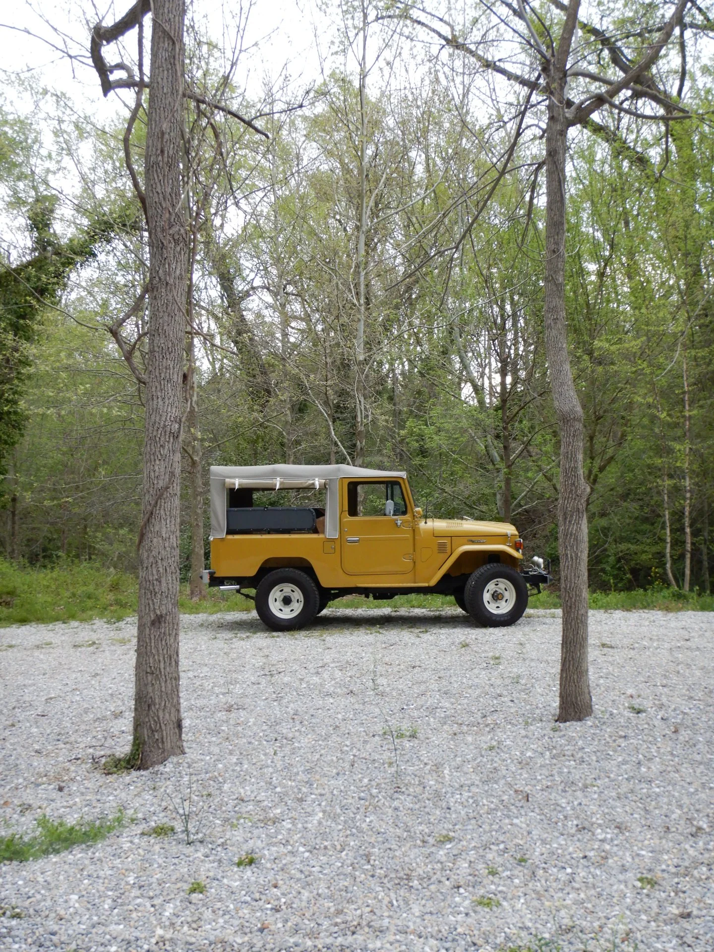 DSCN6587.webp