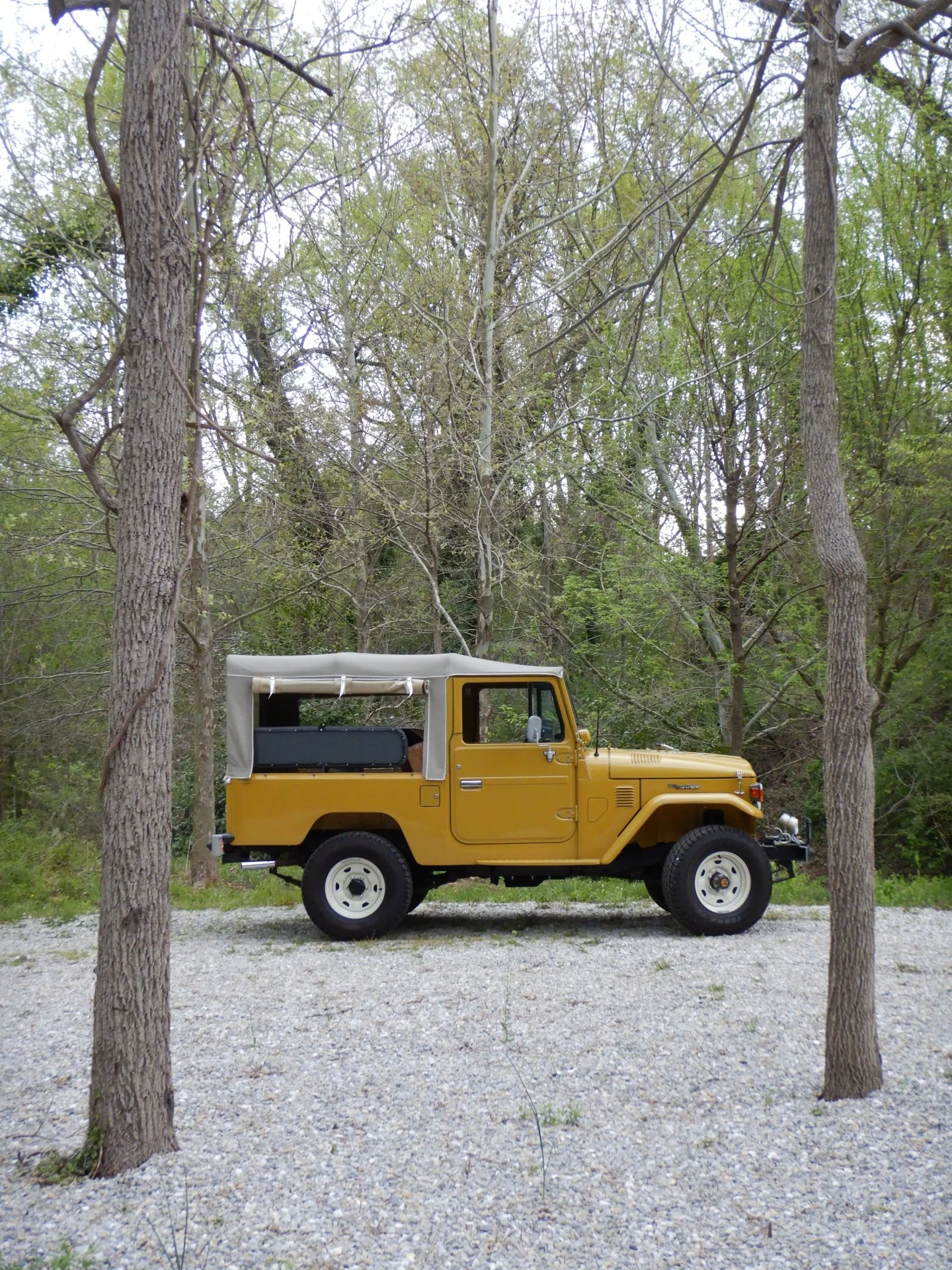 DSCN6588.webp