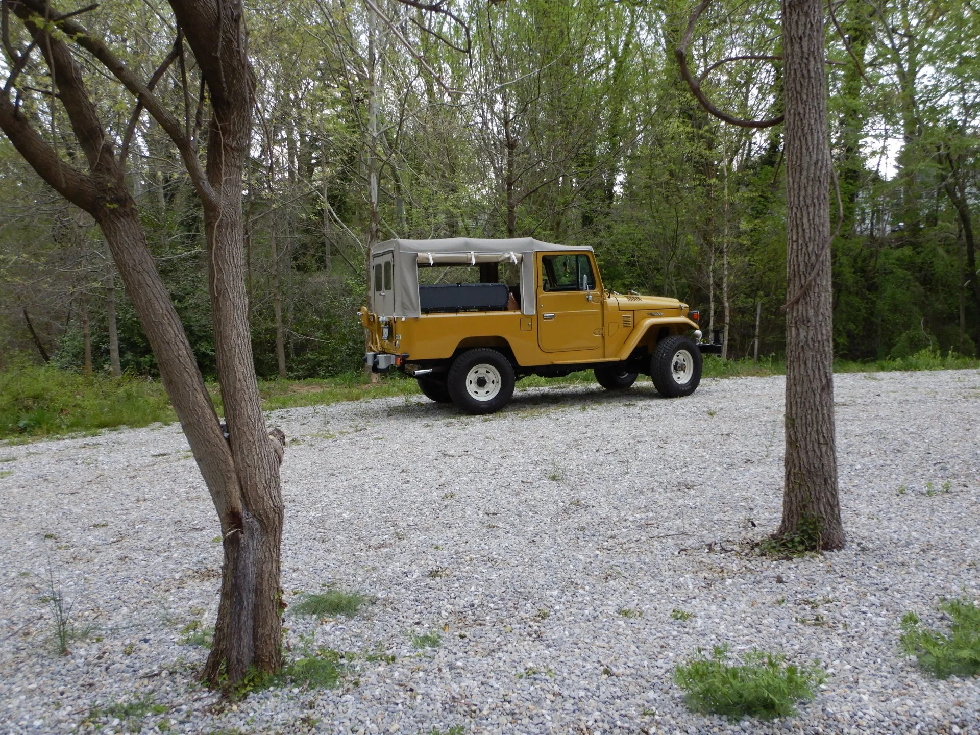 DSCN6589.webp