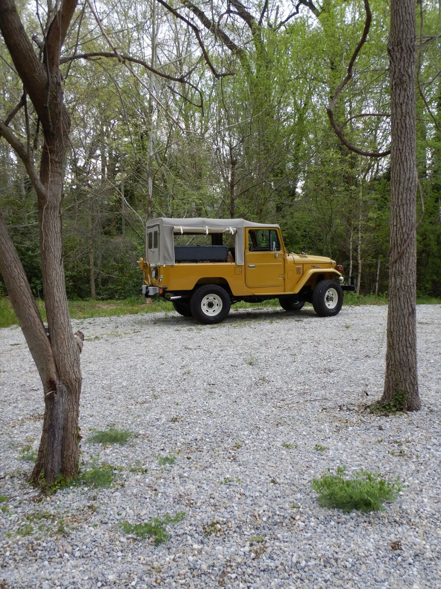 DSCN6590.webp
