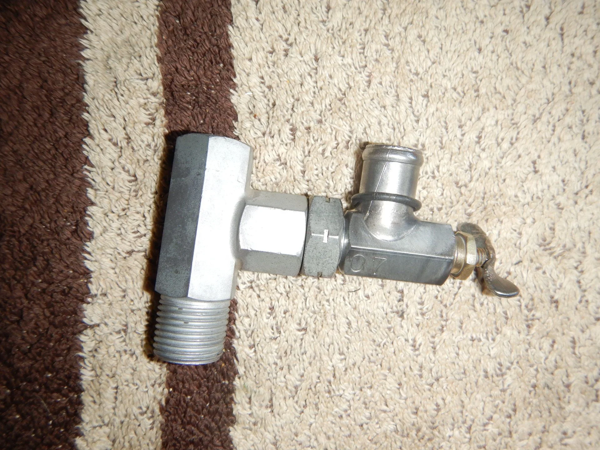 DSCN6701.webp
