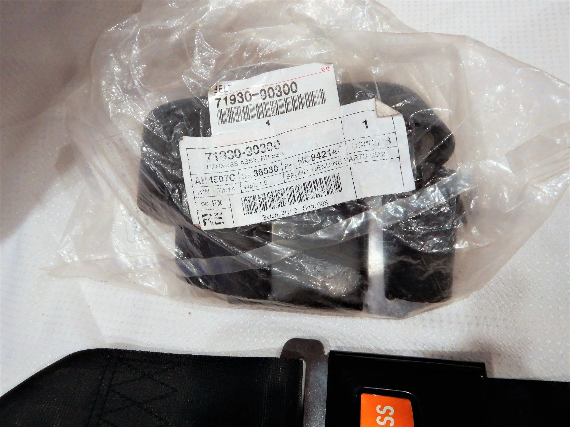DSCN6725.webp
