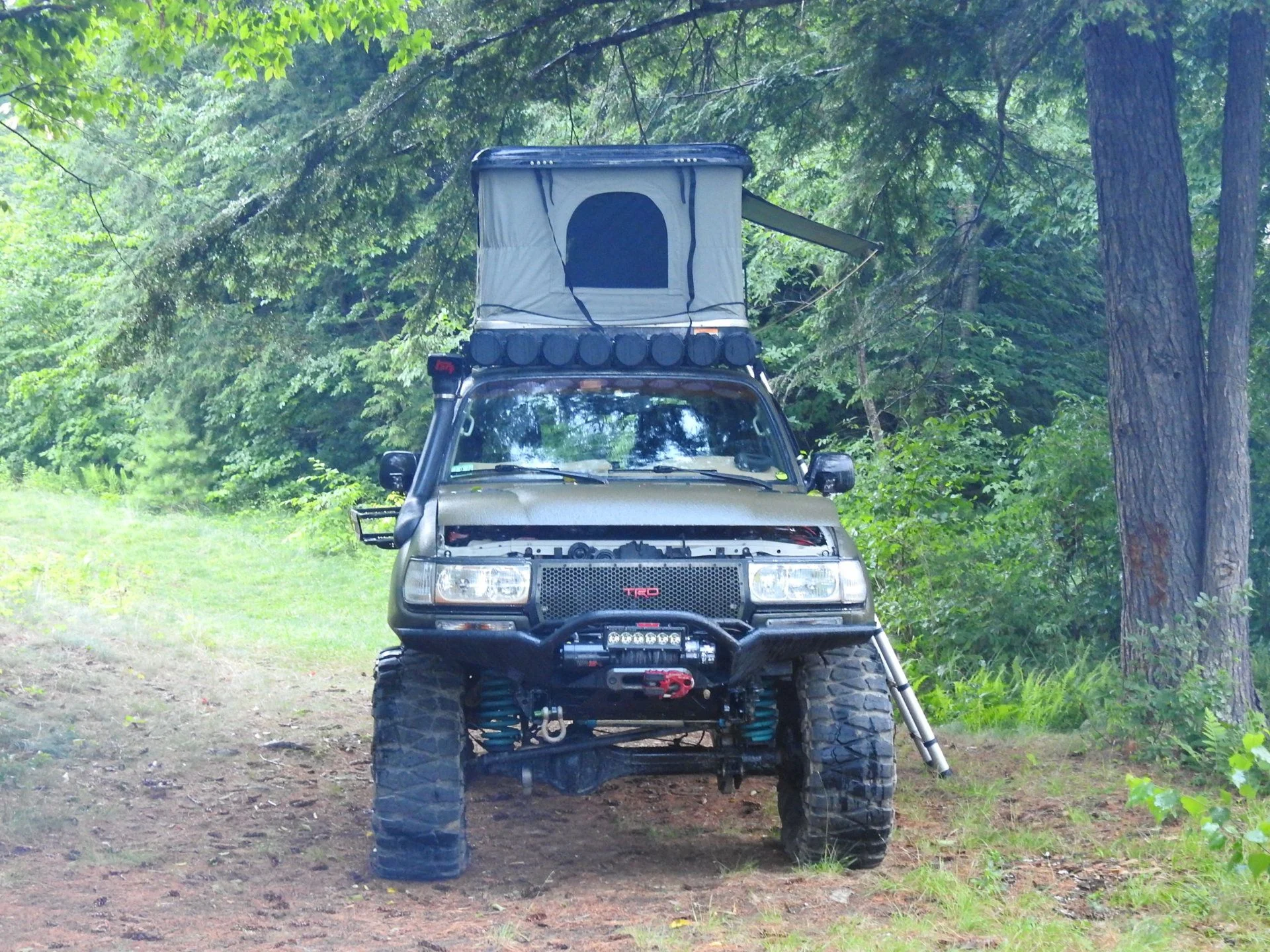 DSCN6740.webp