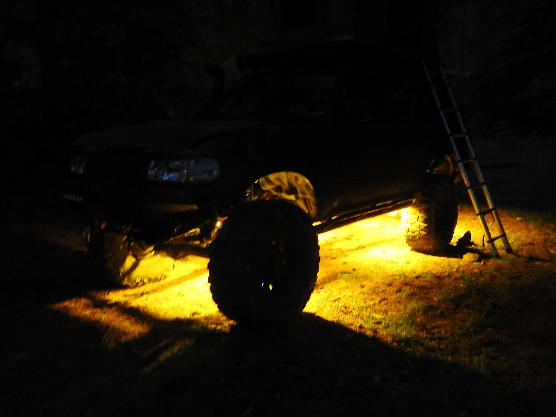 DSCN6742.webp