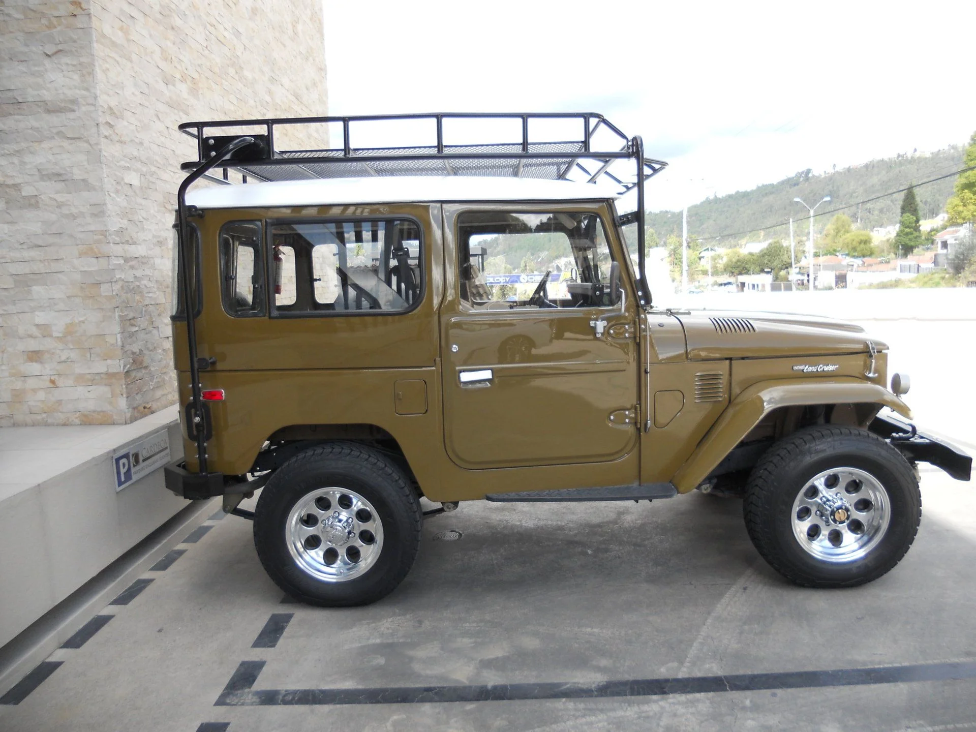 DSCN6781.webp