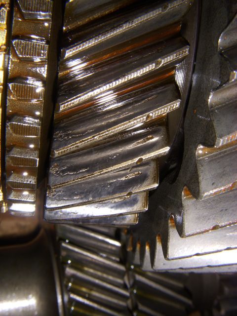 DSCN6813.jpg