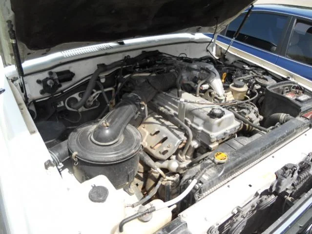 DSCN6921.webp