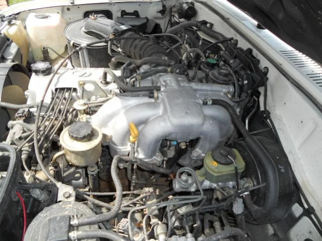 DSCN6923.webp