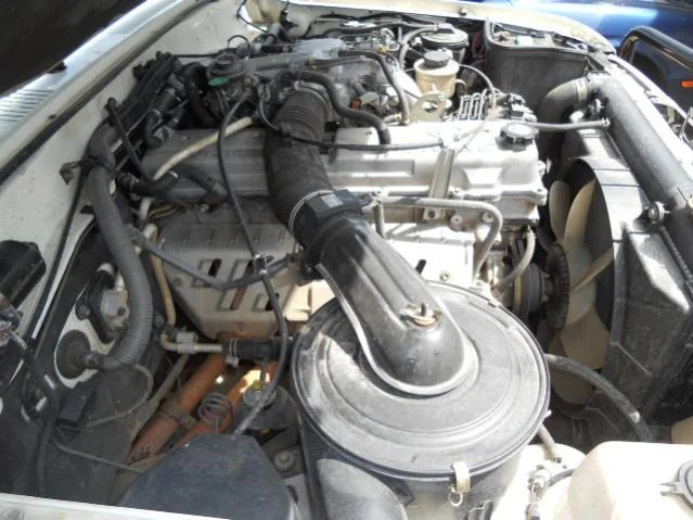 DSCN6924.webp