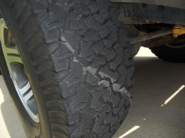 DSCN6937.webp