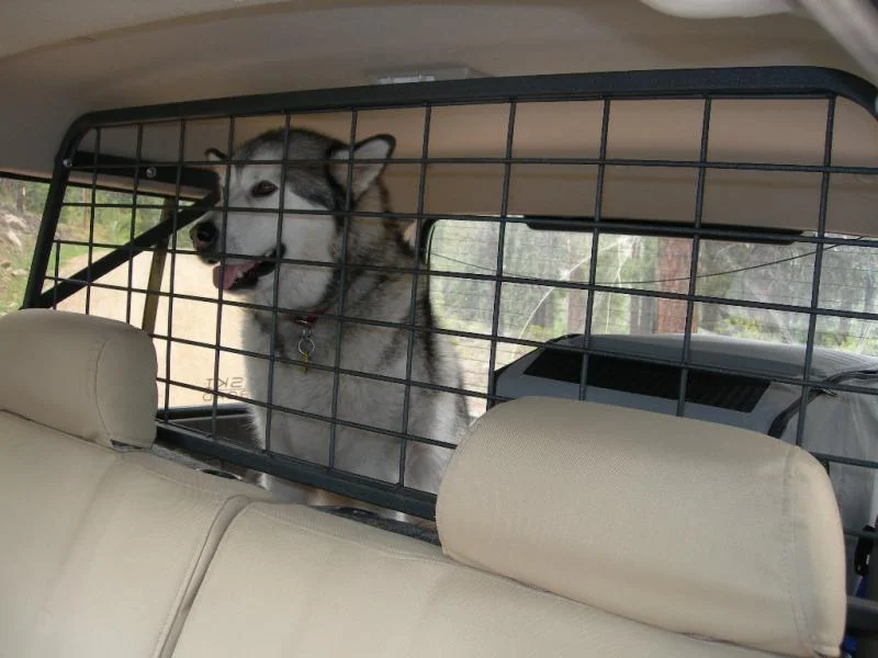 DSCN7135.webp