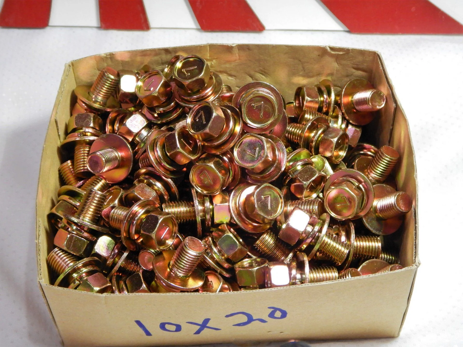 DSCN7261.webp