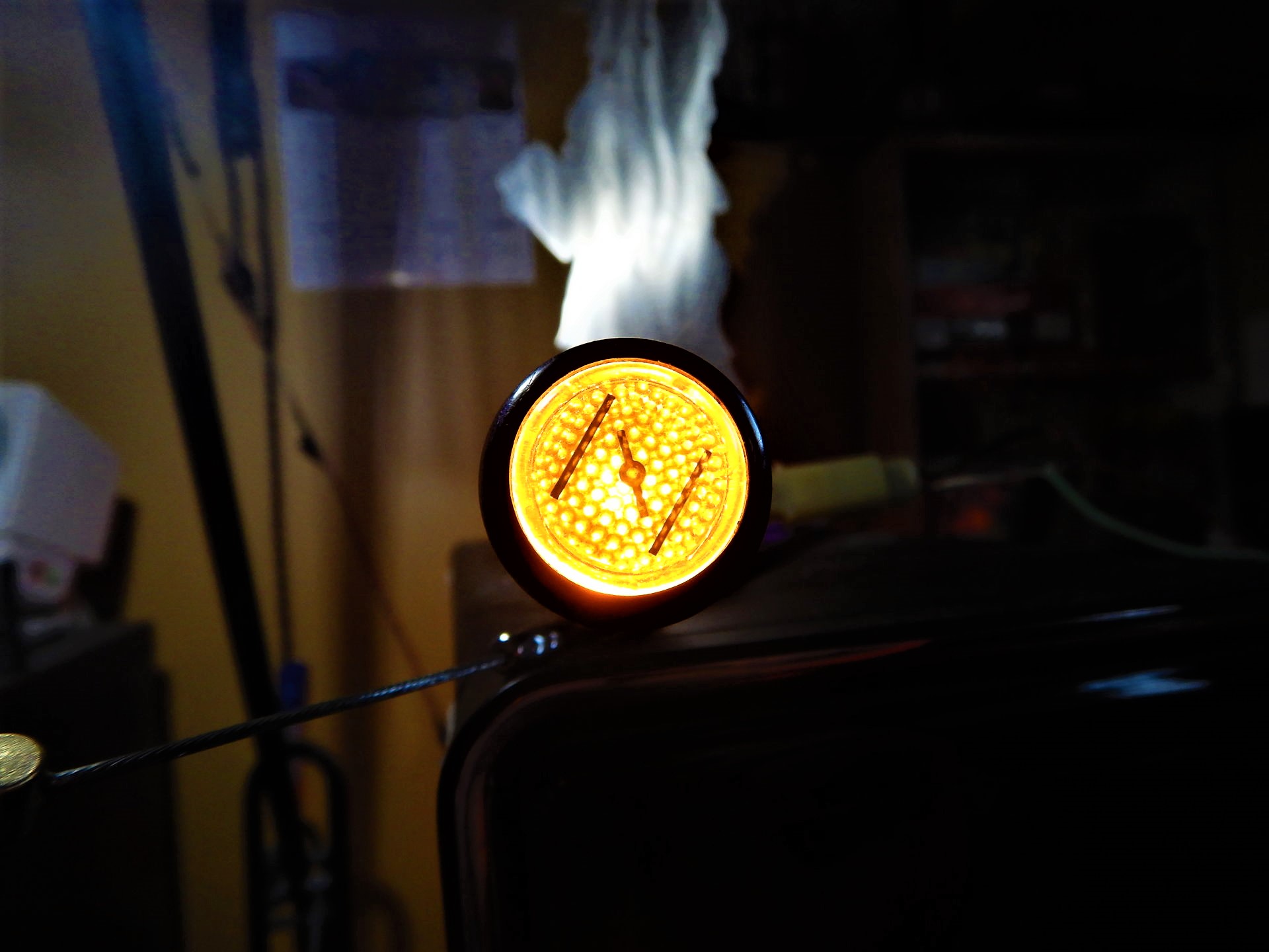 DSCN7262 (1).JPG