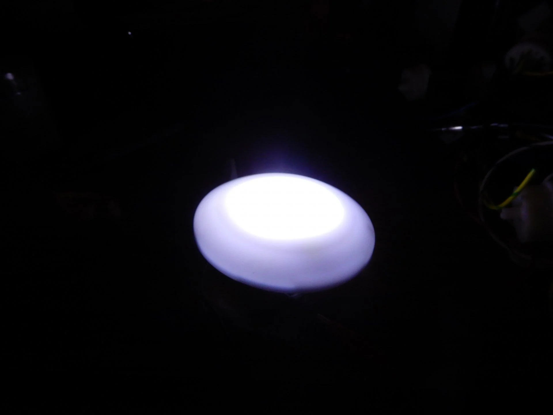 DSCN7376.webp