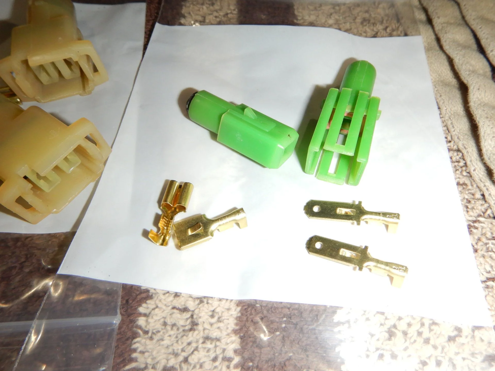 DSCN7404.webp