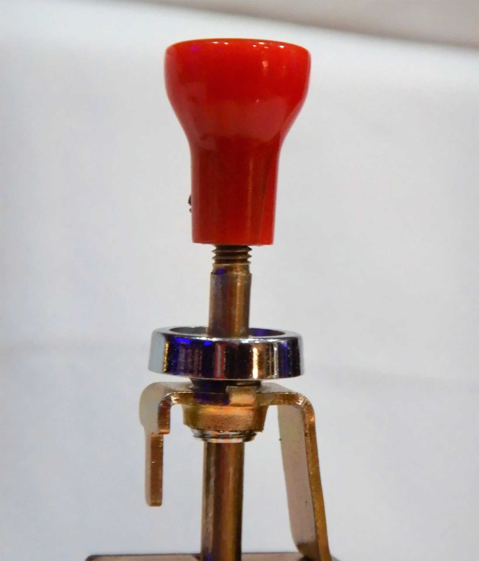 DSCN7450.webp