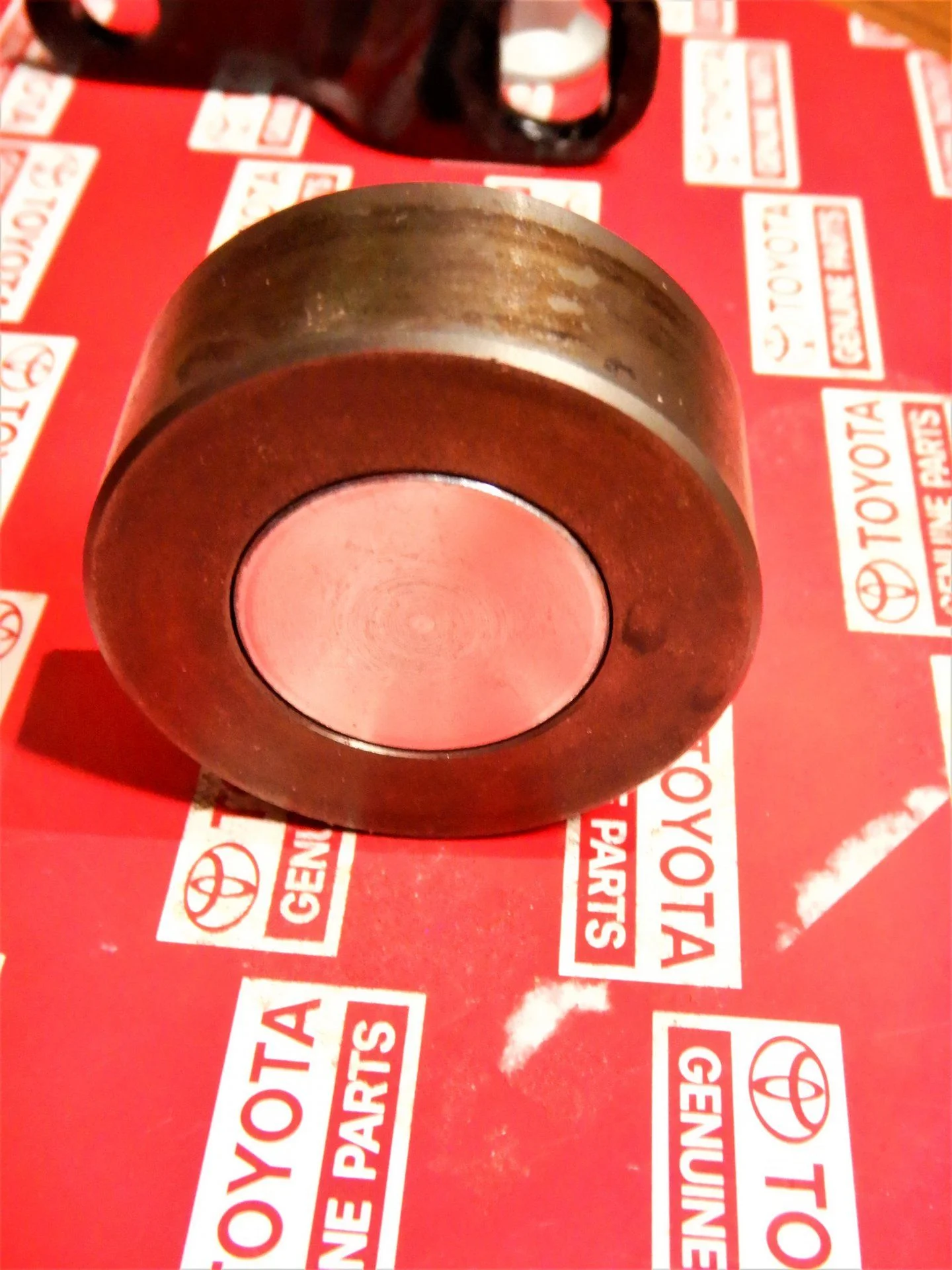 DSCN7459.webp