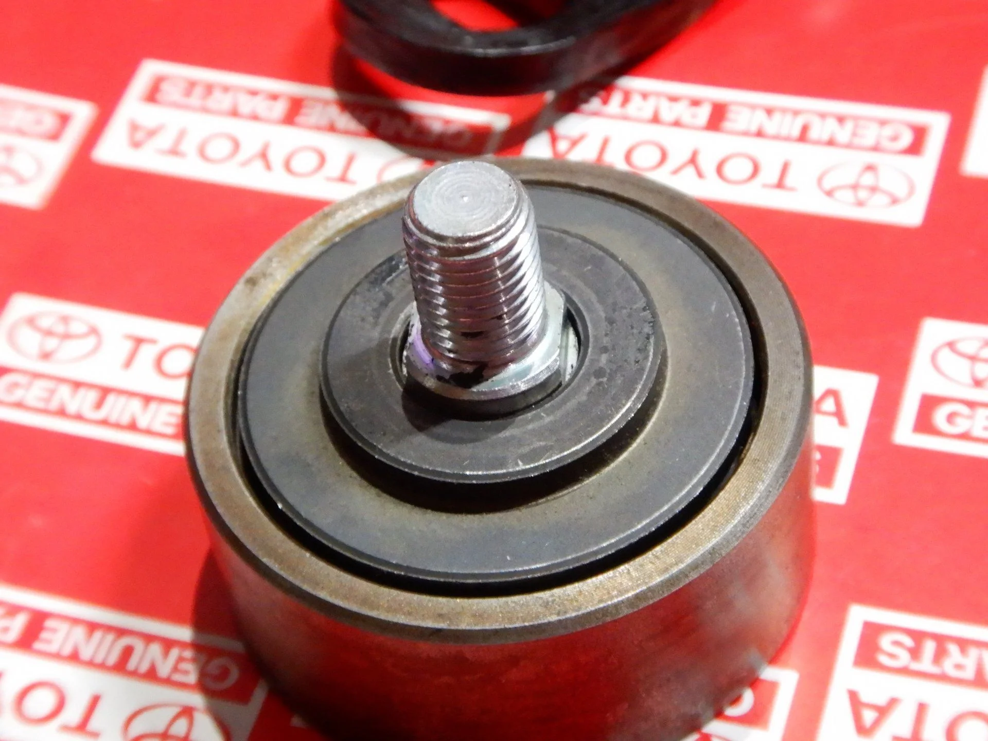 DSCN7464.webp