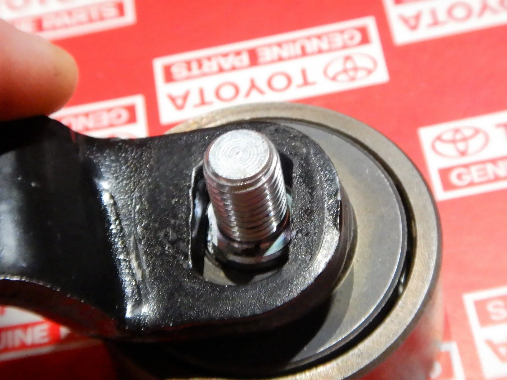 DSCN7466.webp
