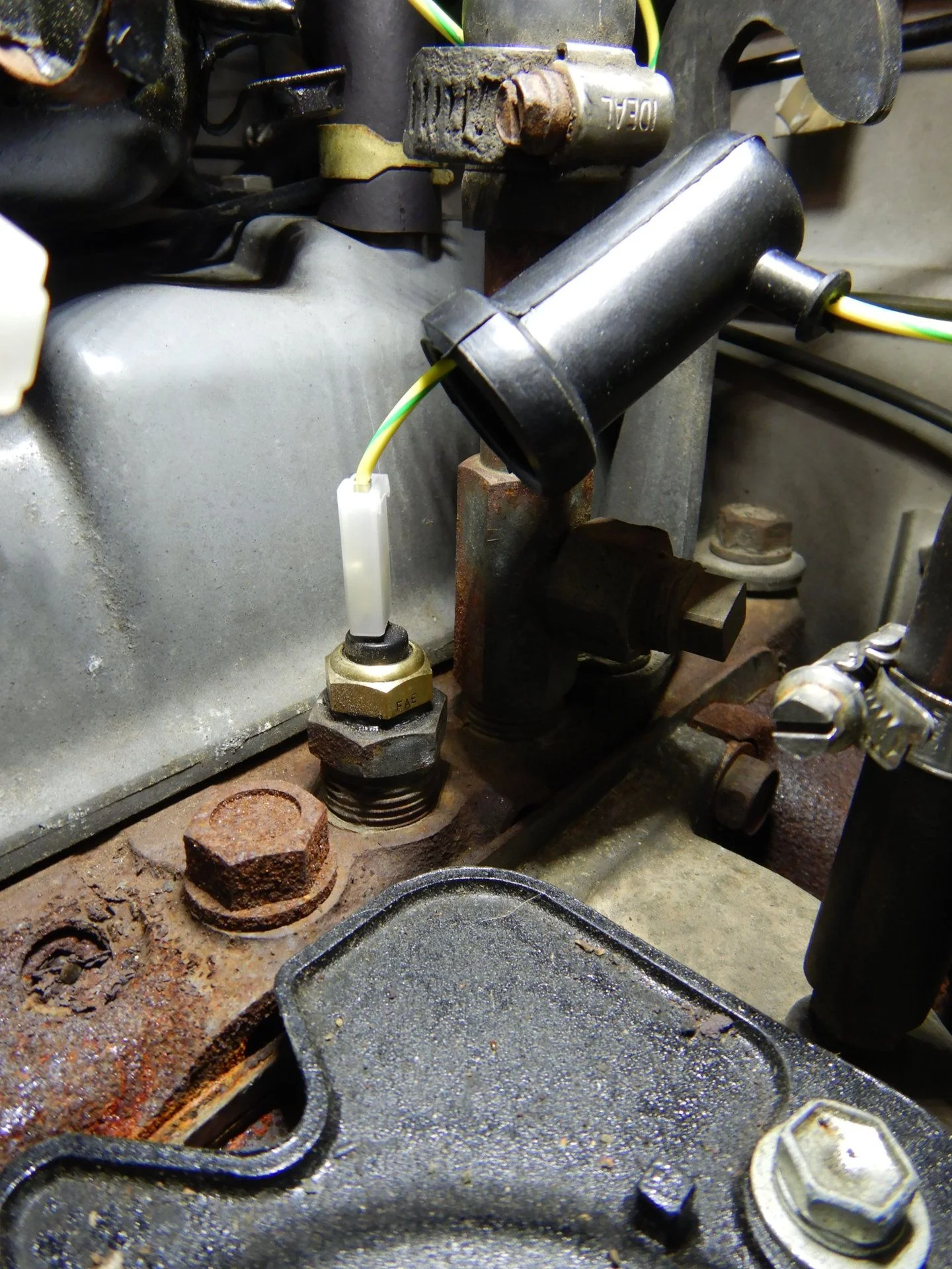 DSCN7468.webp
