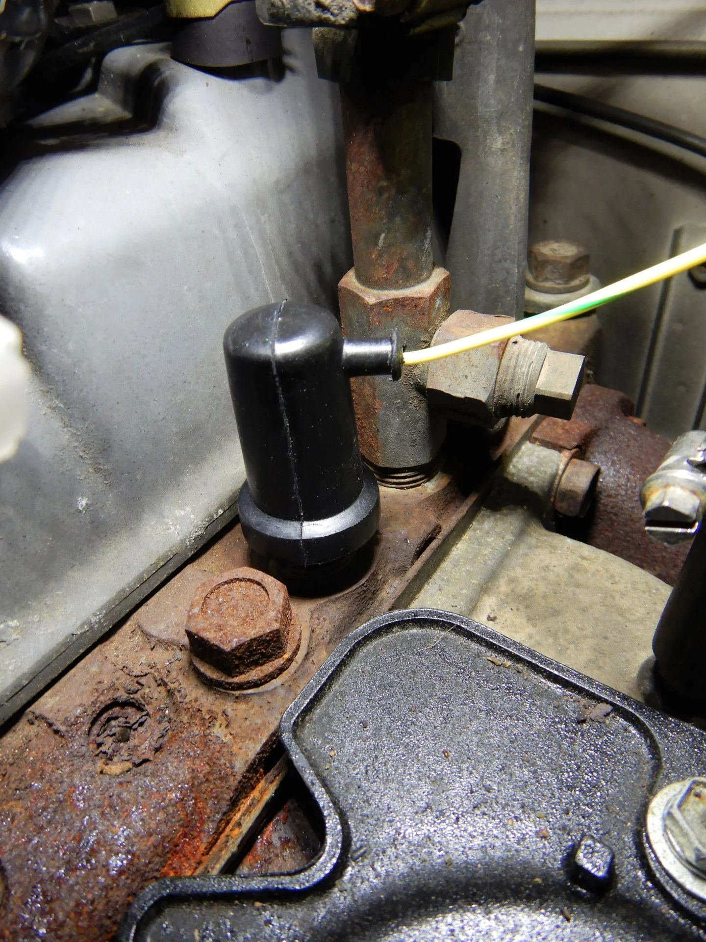 DSCN7471.webp
