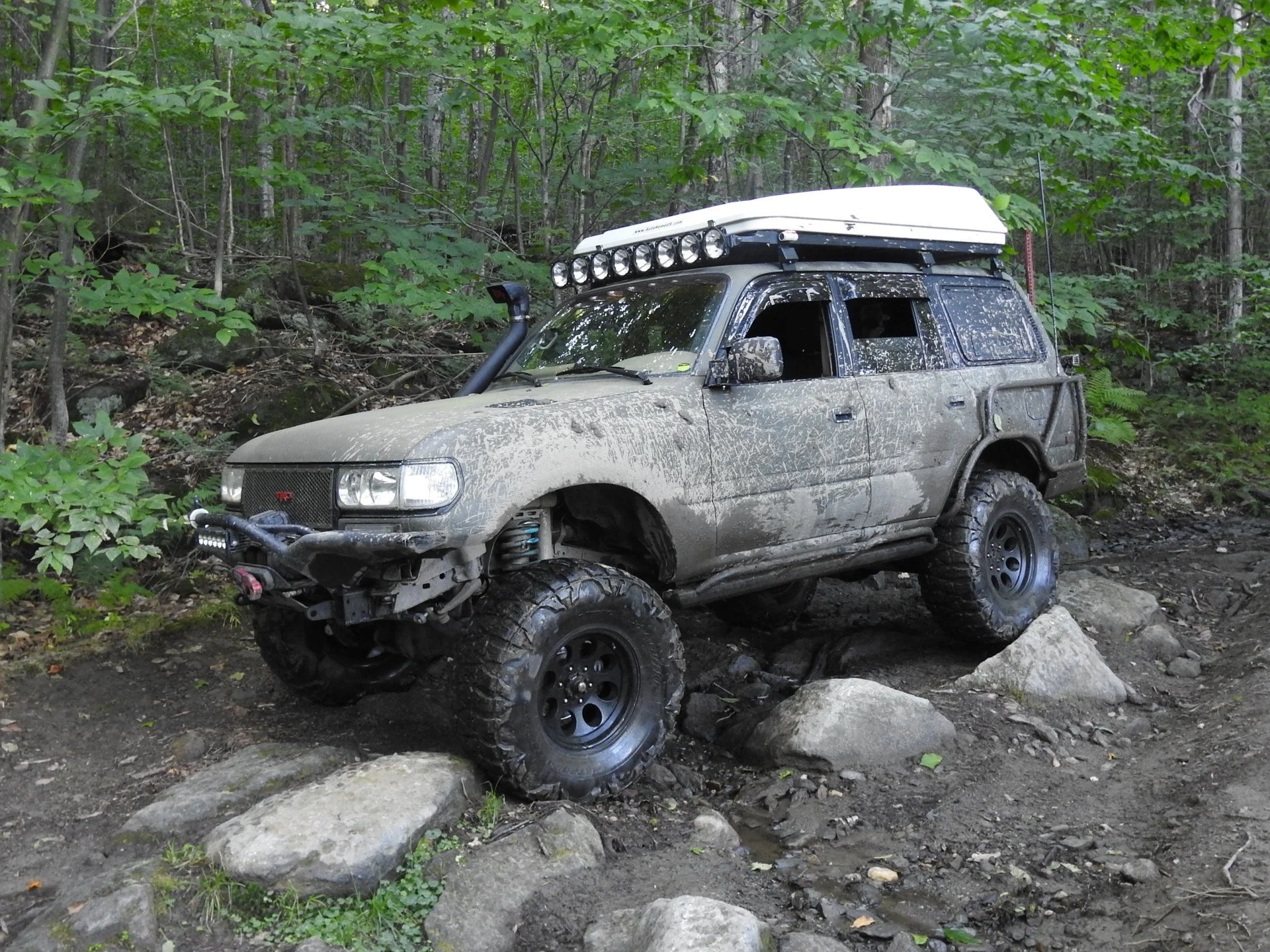 DSCN7537.webp