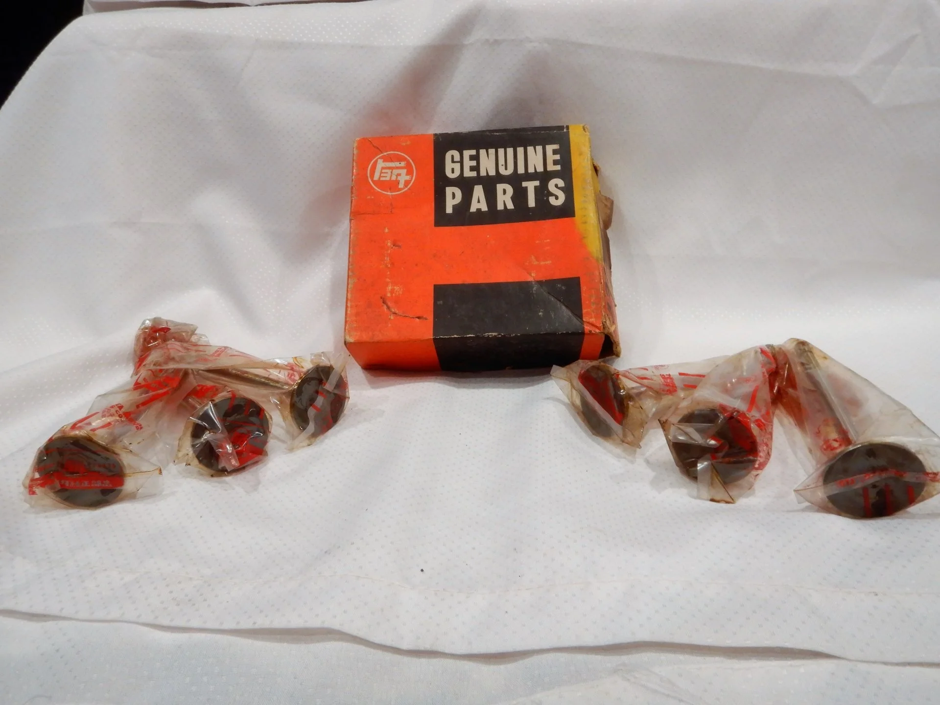 DSCN7563.webp