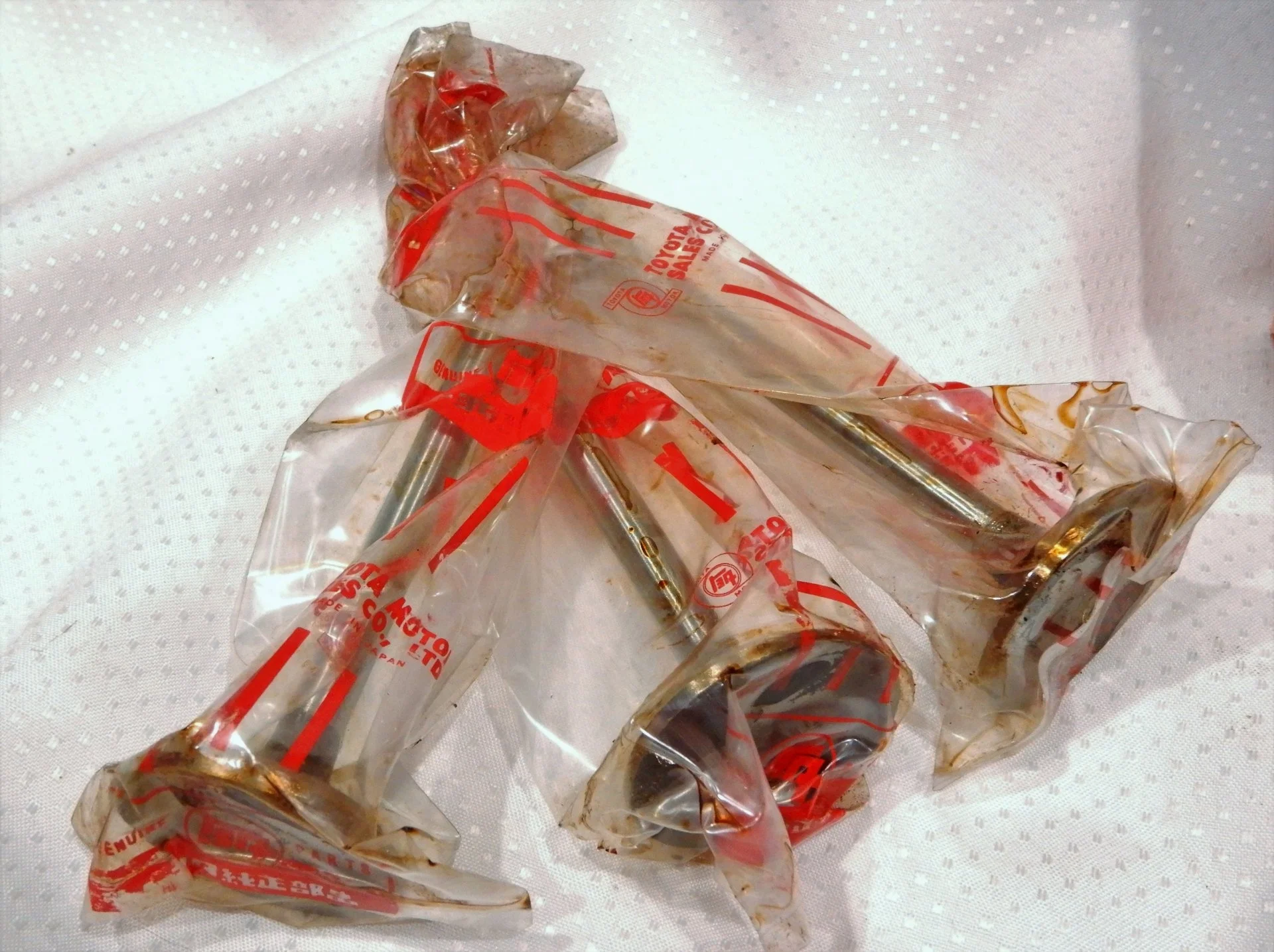 DSCN7566.webp