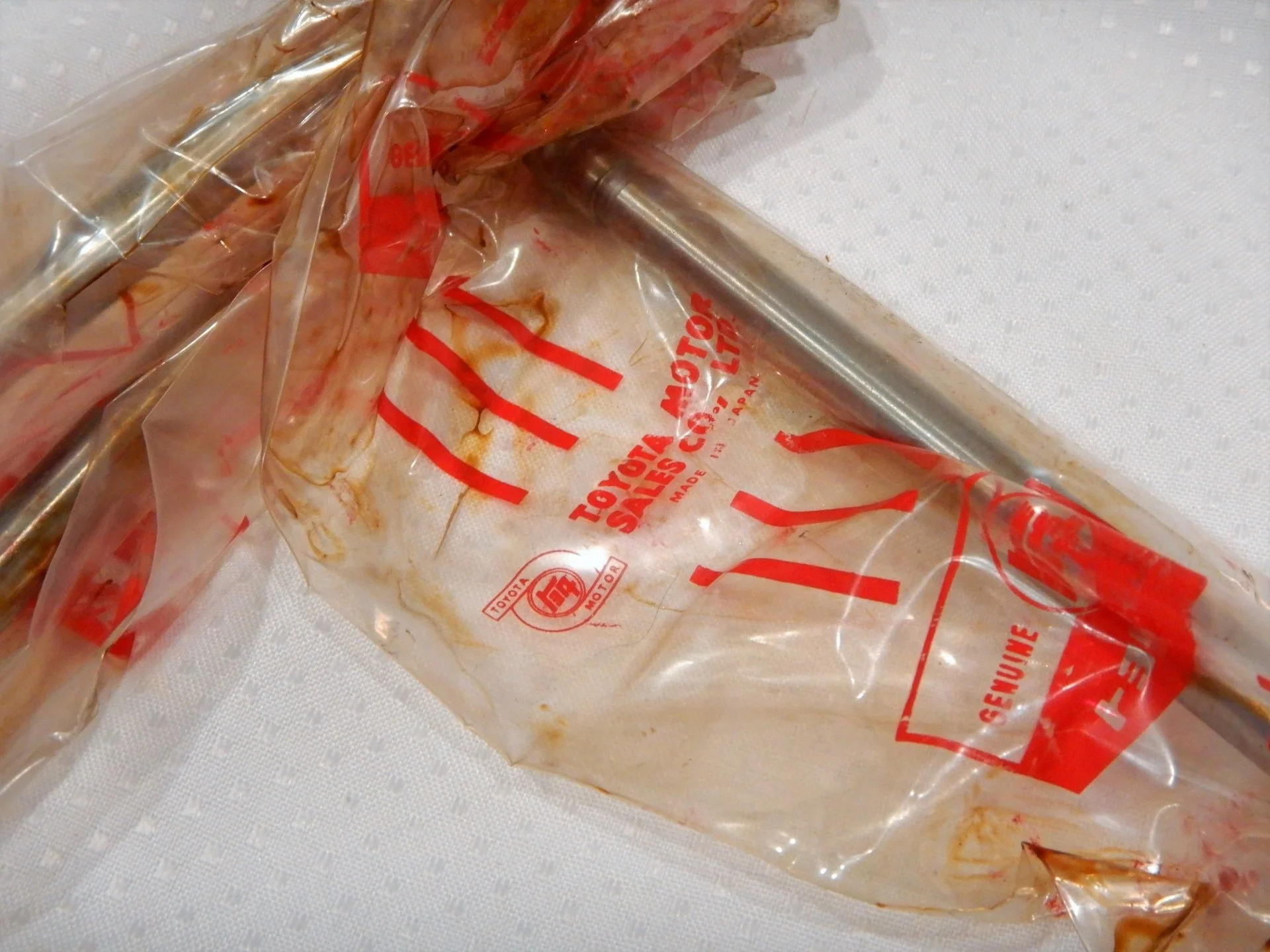 DSCN7567.webp