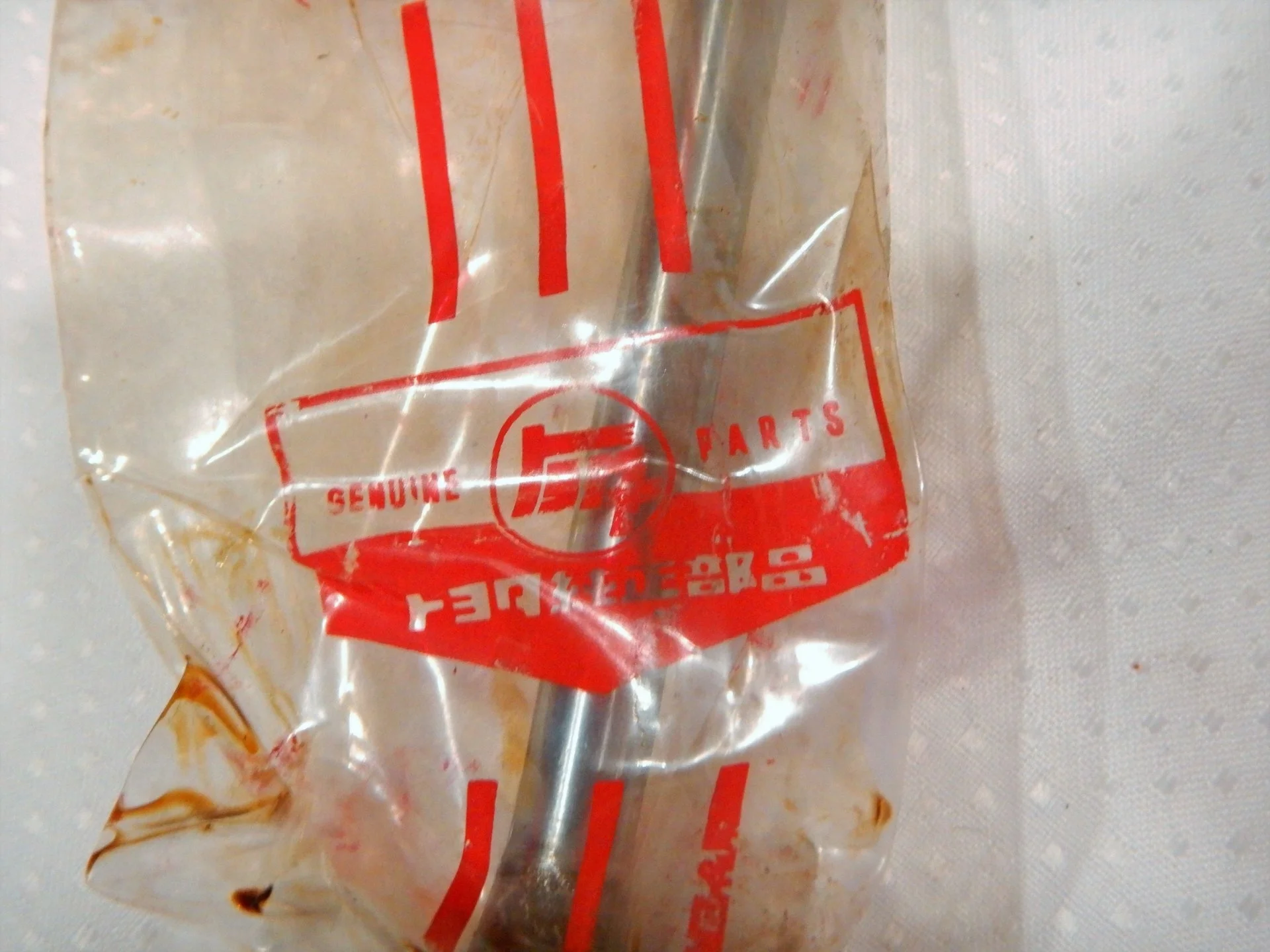 DSCN7569.webp