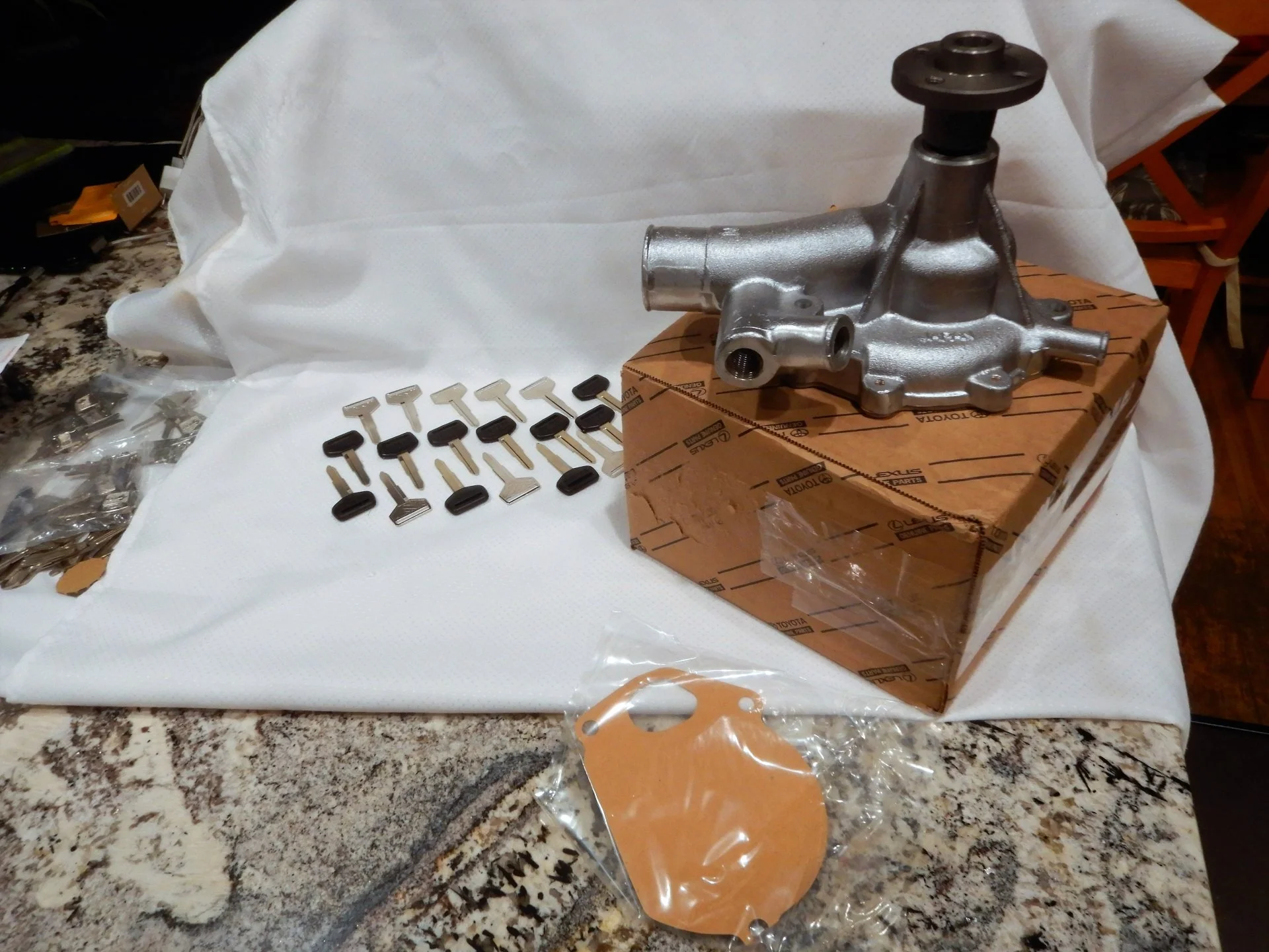 DSCN7609.webp