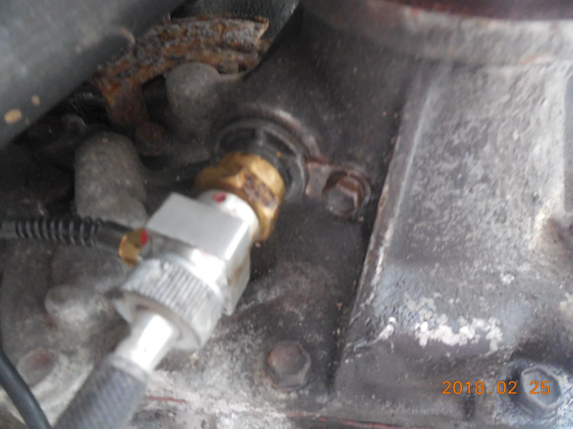 DSCN7629.webp