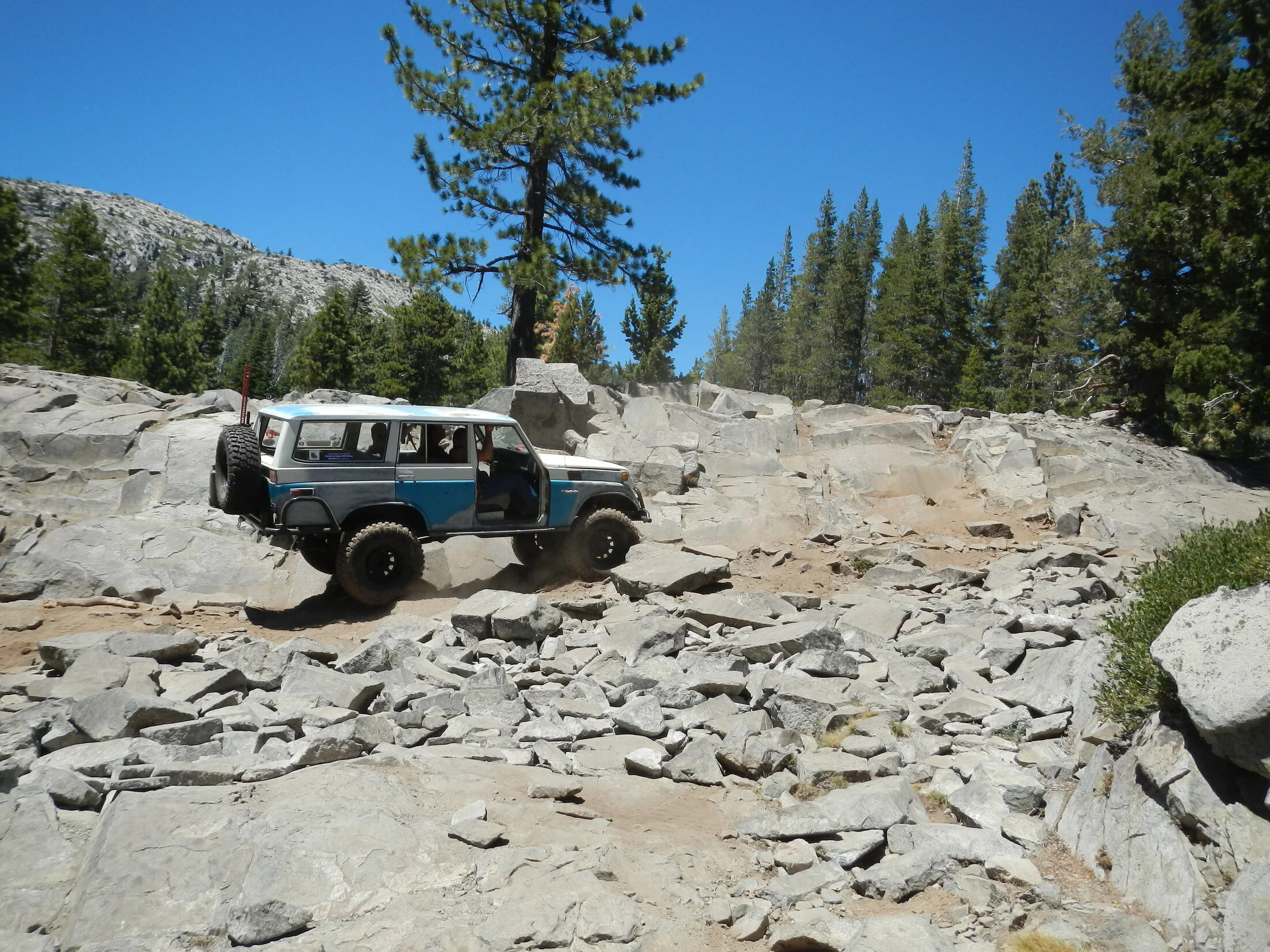 DSCN7737.webp