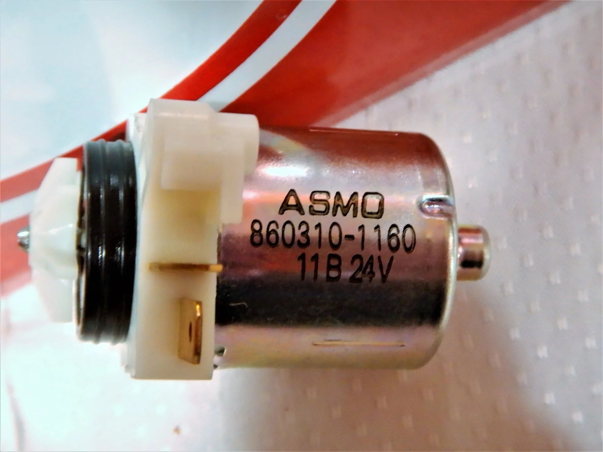 DSCN7782.JPG