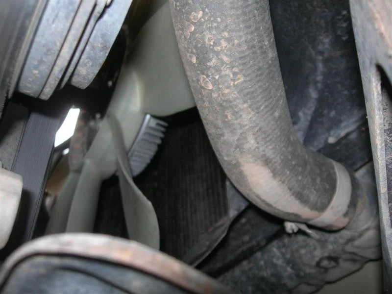 DSCN7876 (Large).webp
