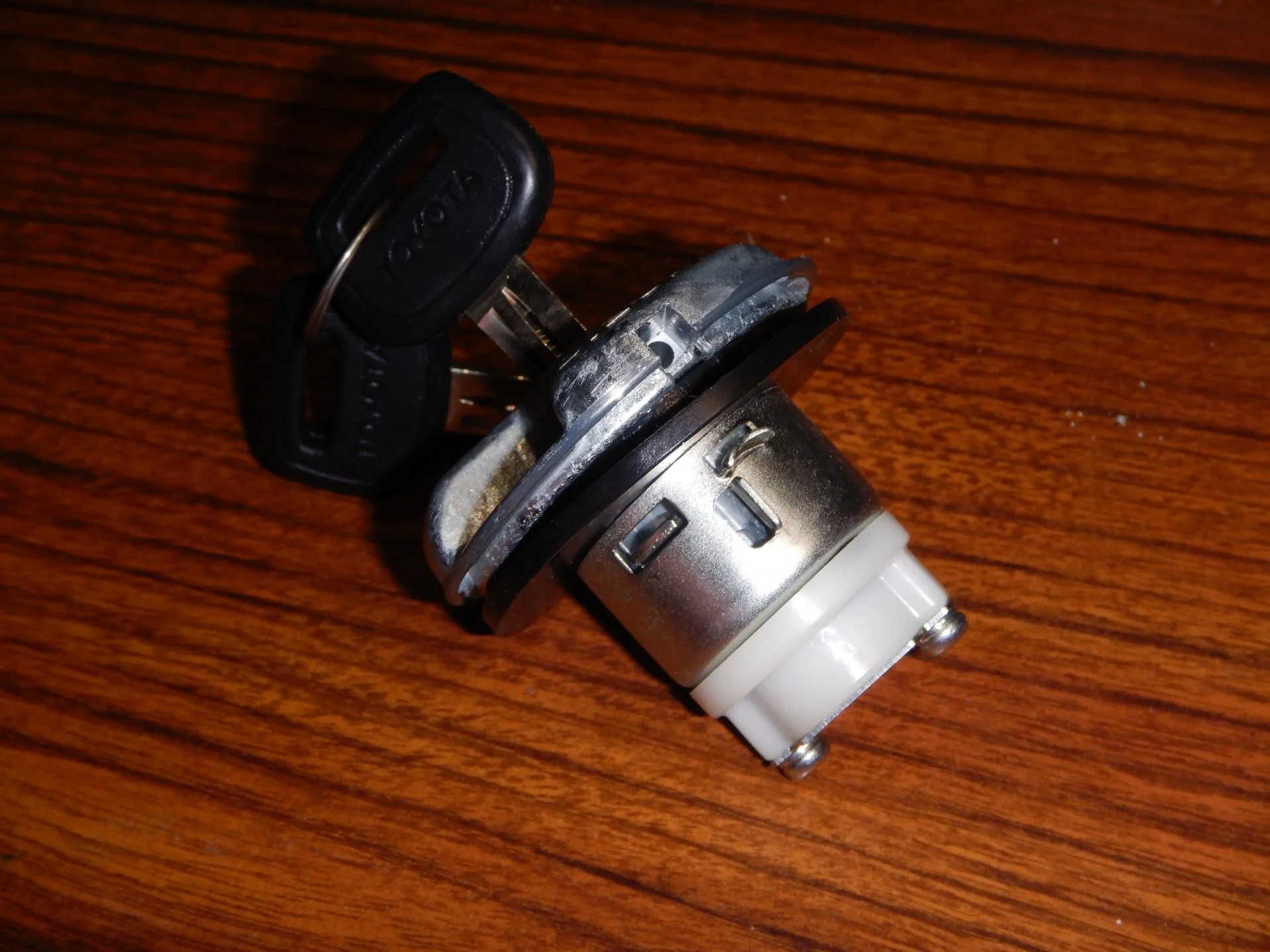DSCN7979.JPG