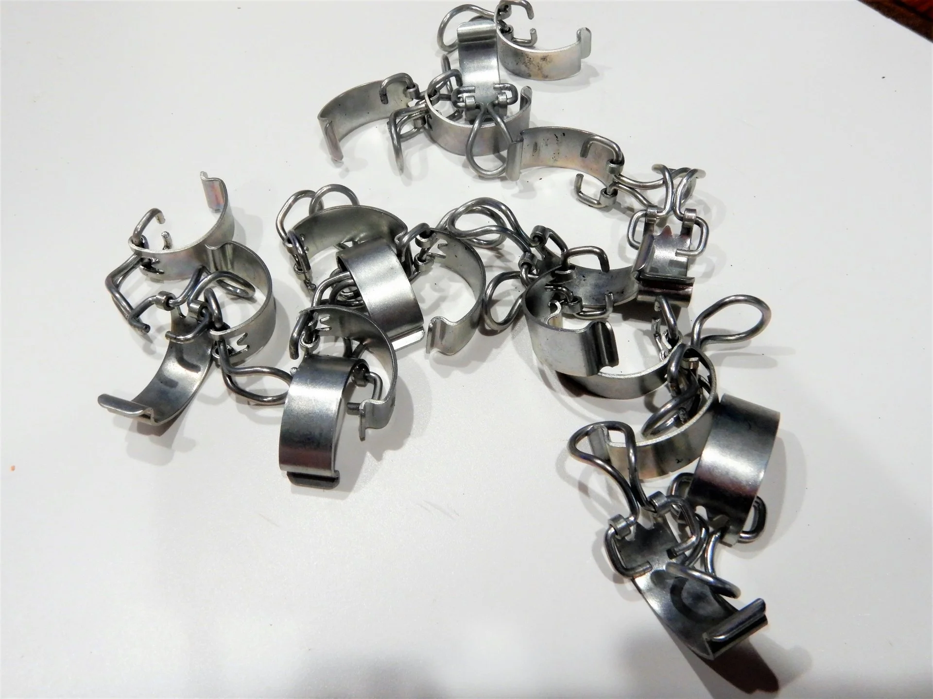 DSCN8042.webp