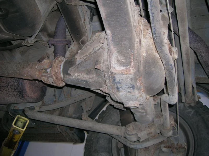 DSCN8124.webp