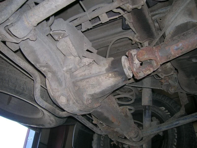 DSCN8125.webp