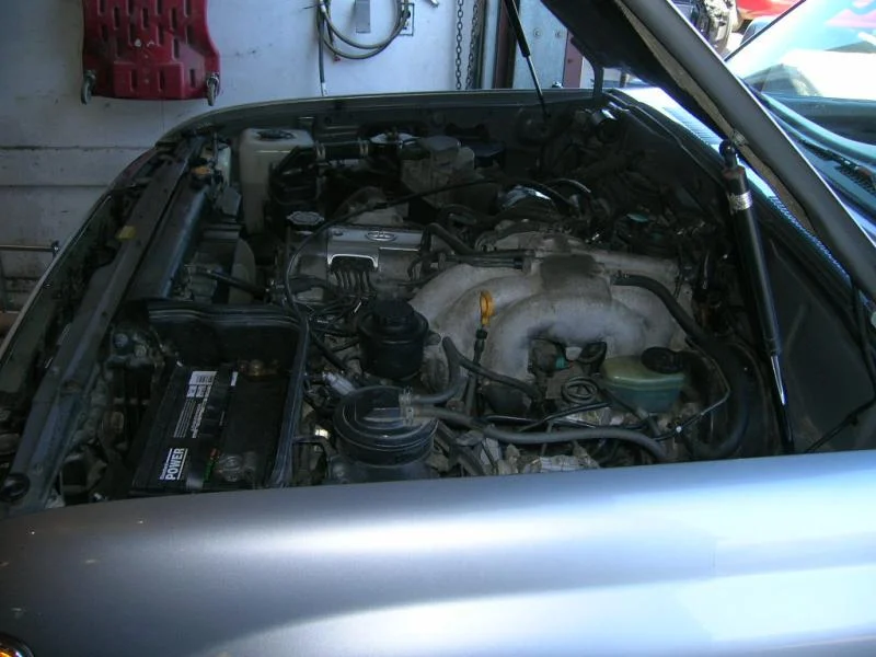 DSCN8128.webp
