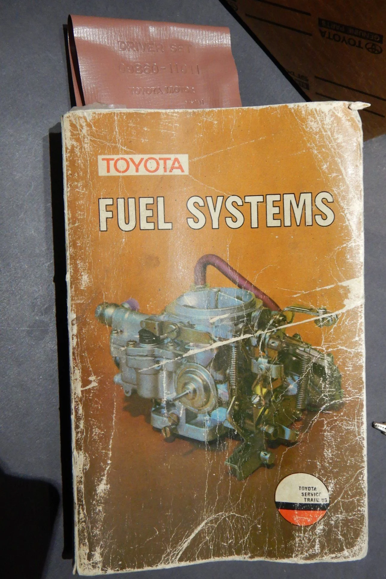DSCN8184.webp