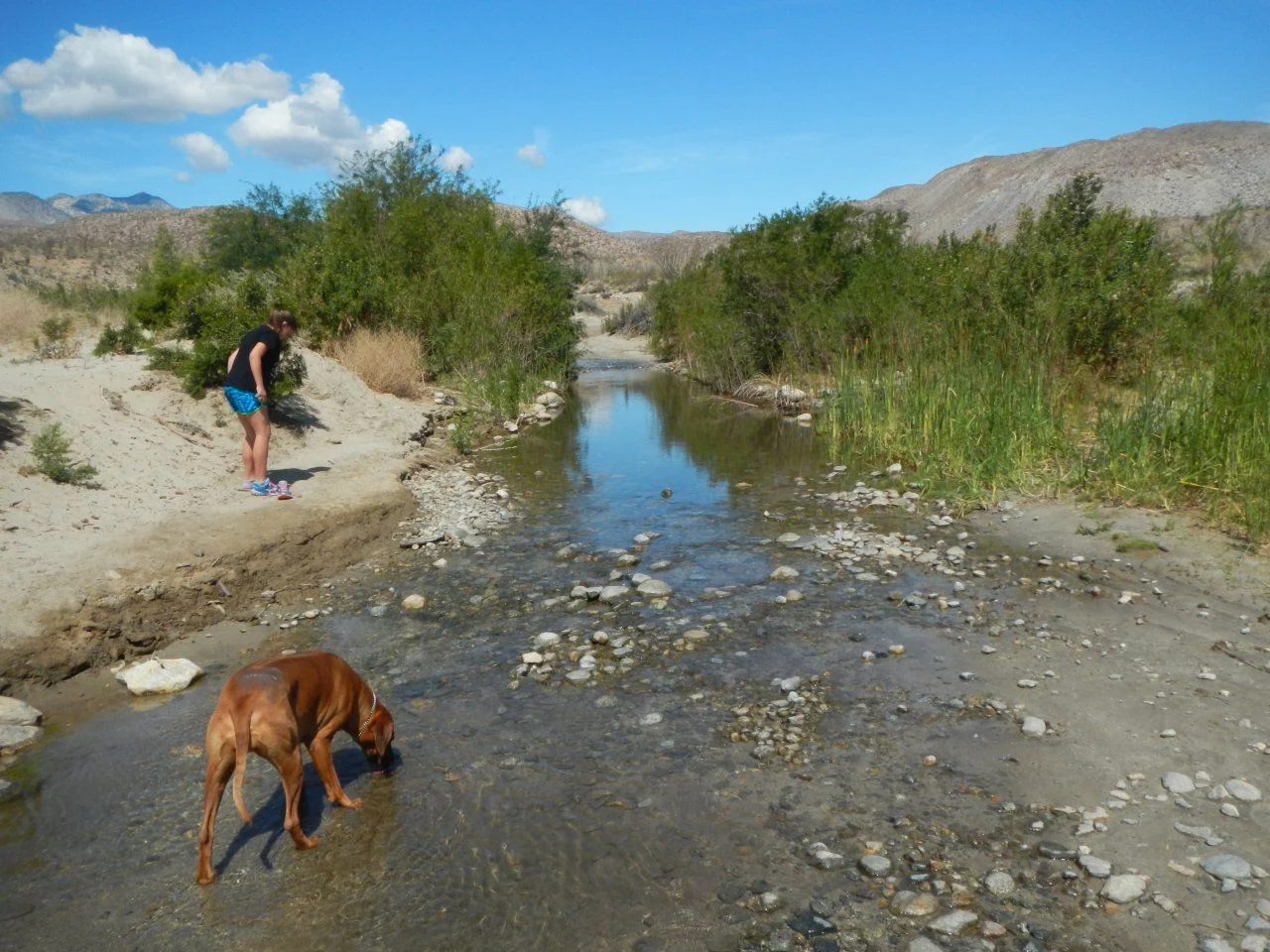 DSCN8504.webp
