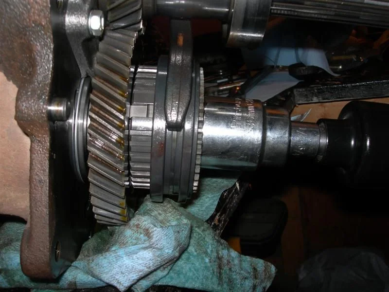 DSCN8554 (Medium).webp