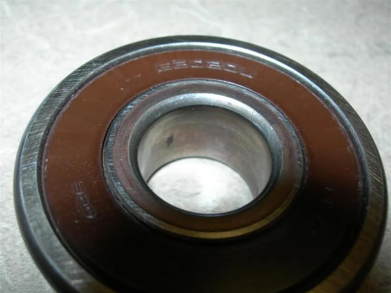 DSCN8671 (Large).webp