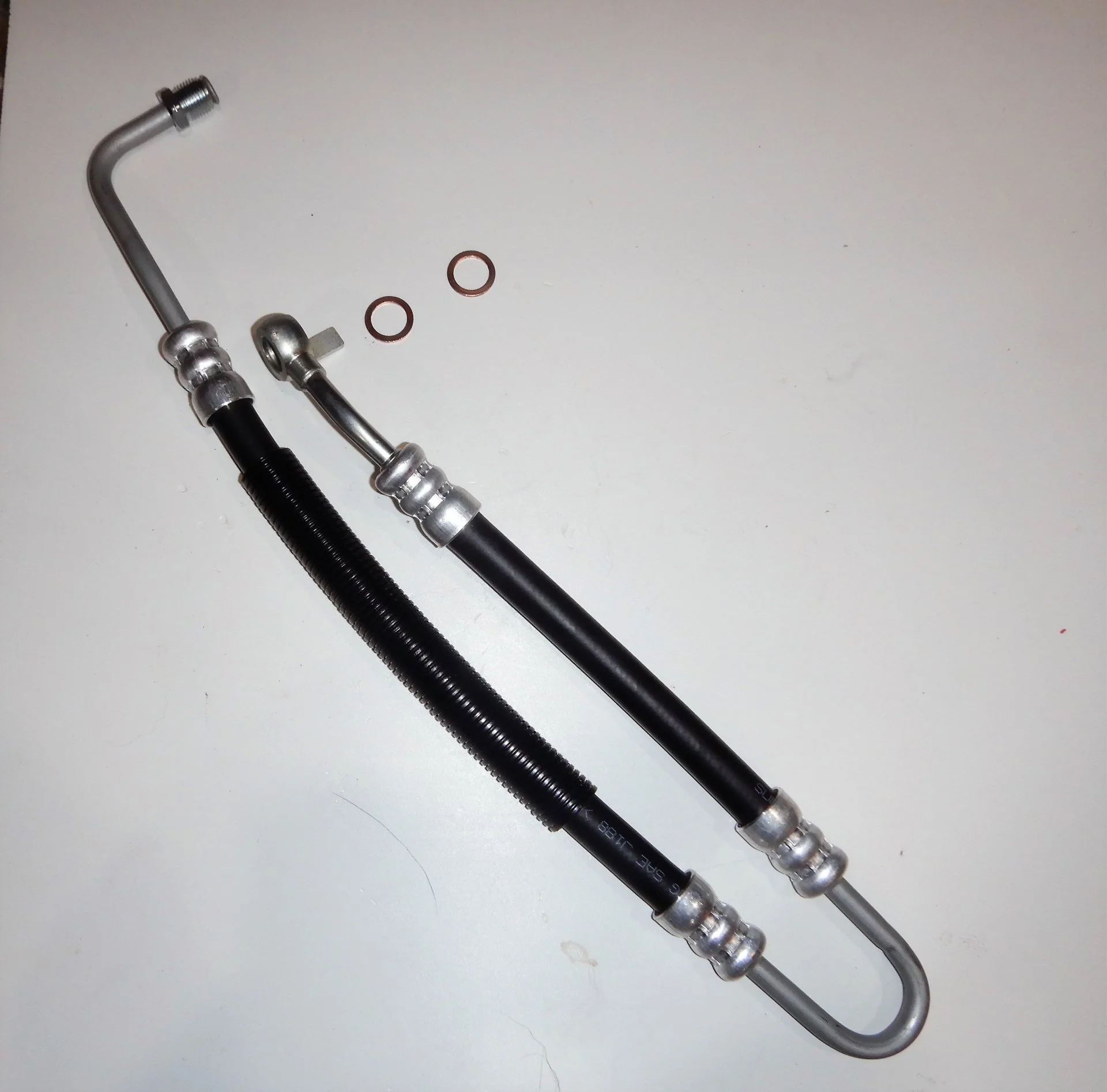 DSCN8820.webp