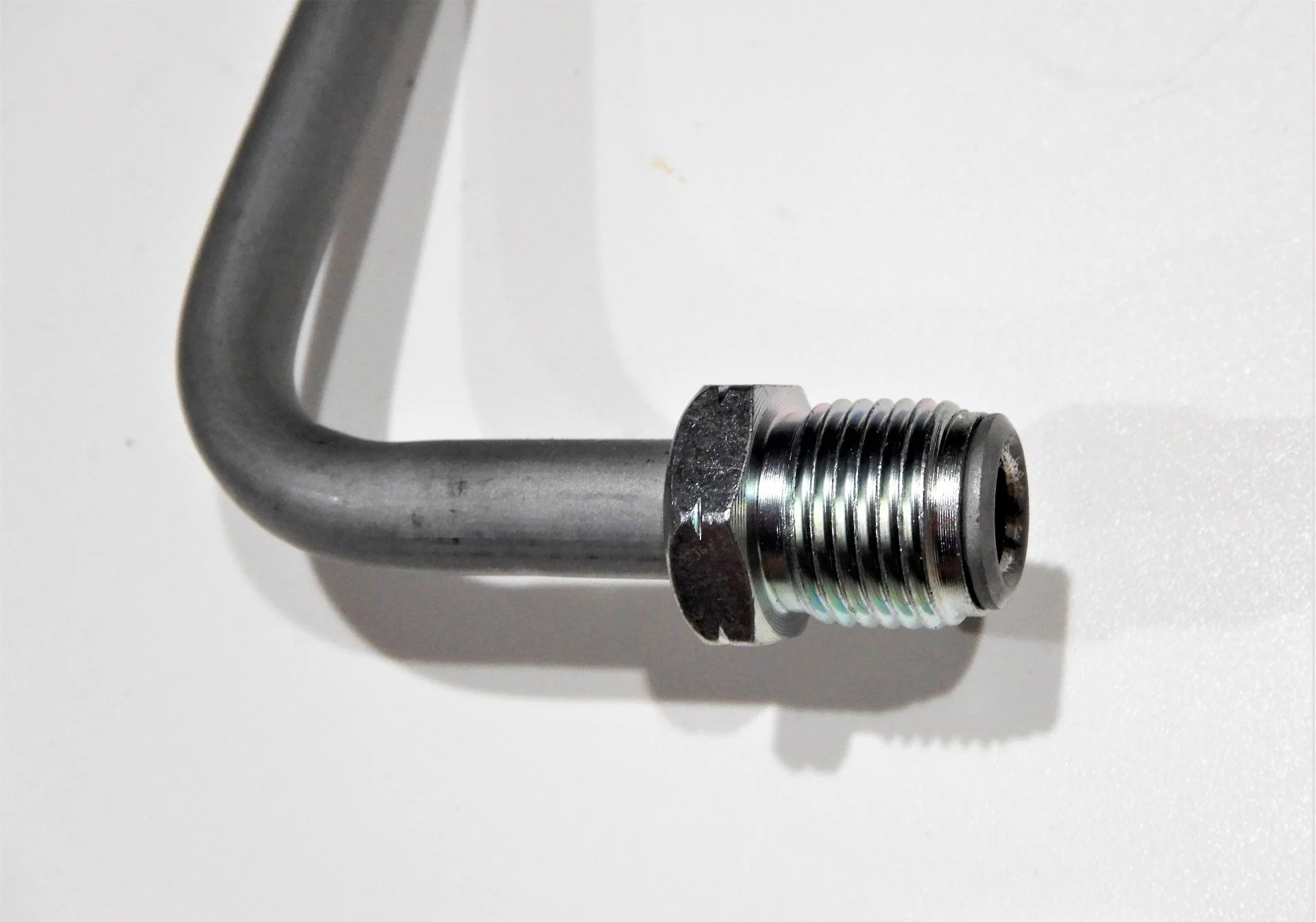 DSCN8828.webp