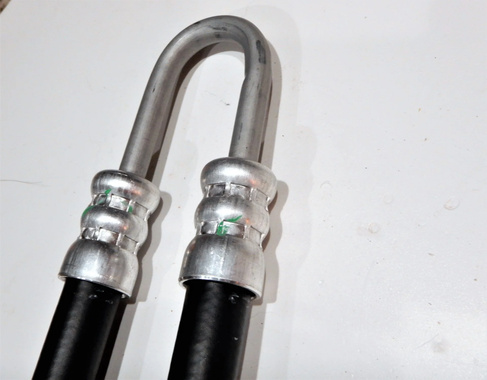 DSCN8829.webp
