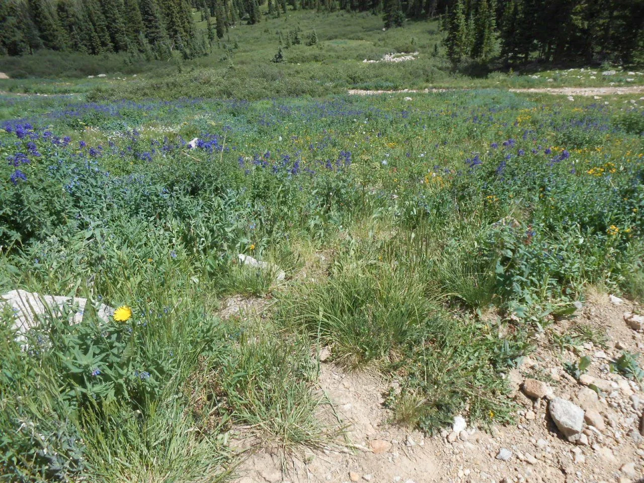 DSCN8926.webp