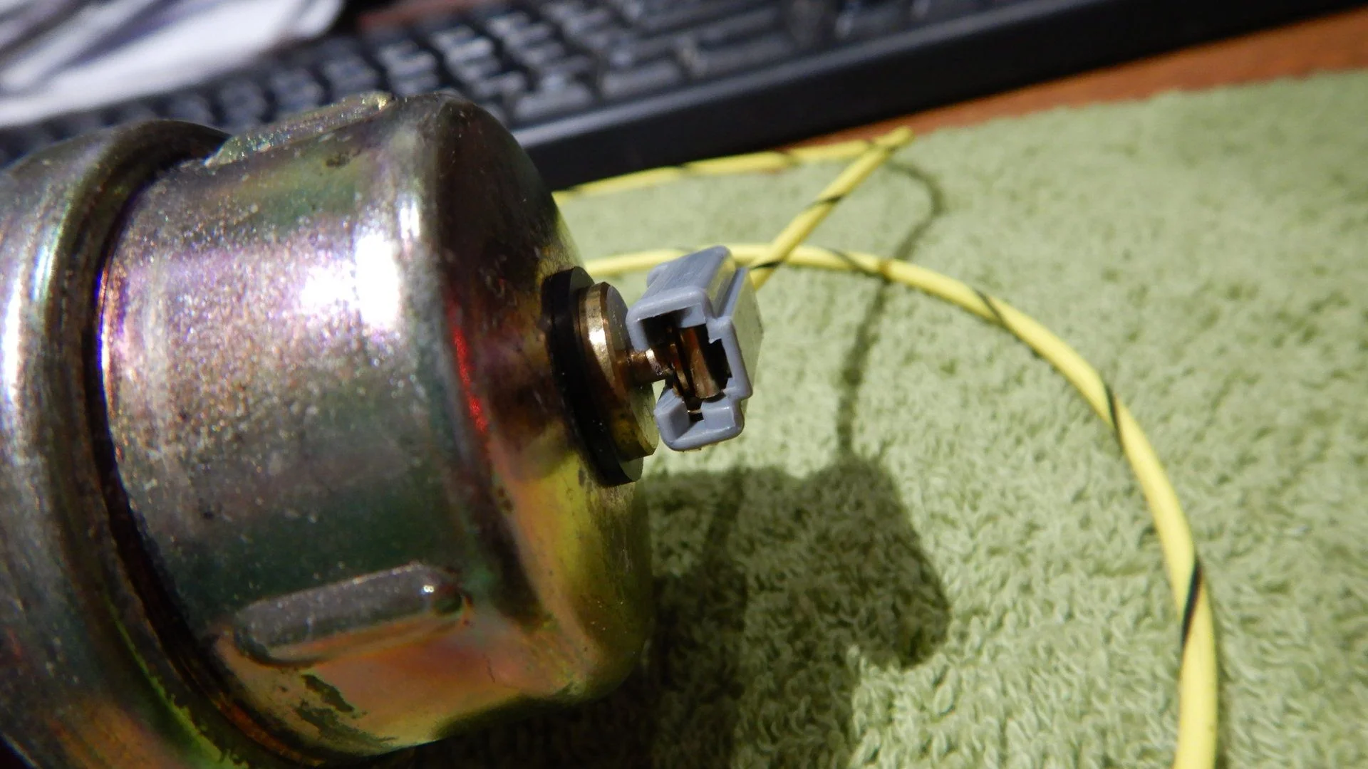 DSCN8994.webp